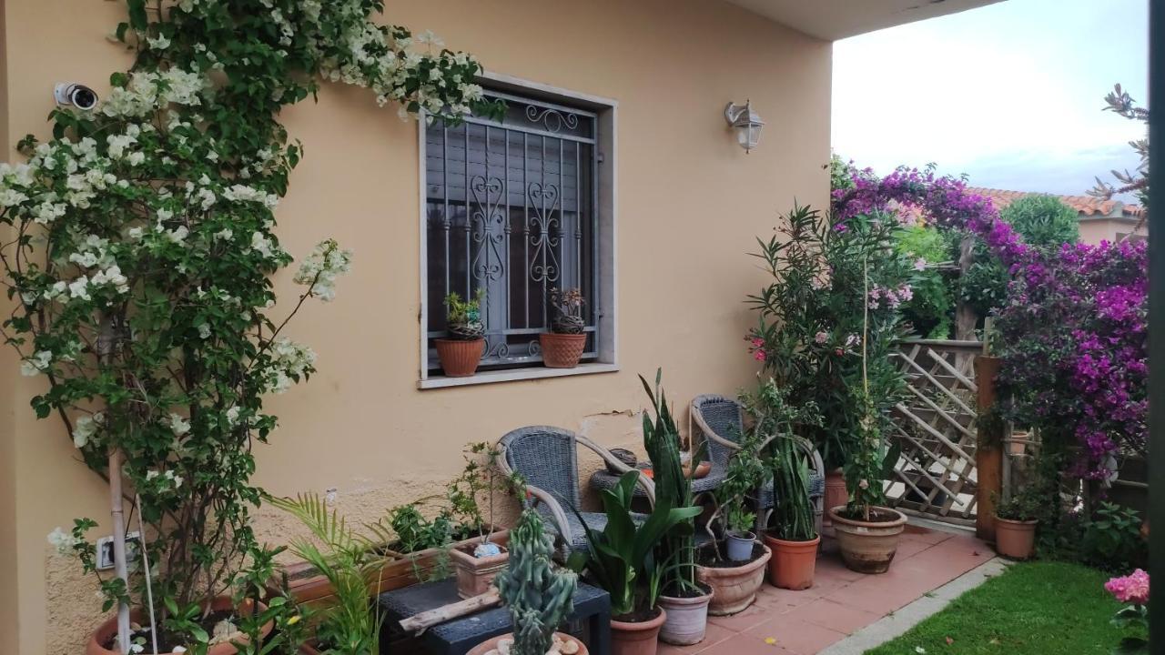 奧爾比亞La Casa Di Luca公寓 外观 照片