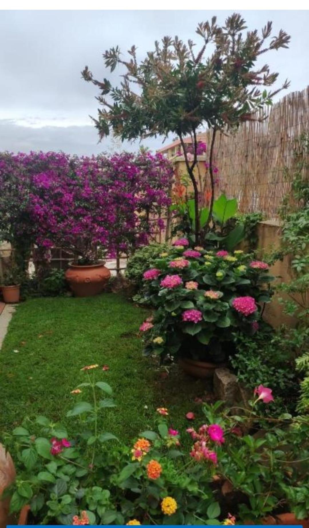 奧爾比亞La Casa Di Luca公寓 外观 照片
